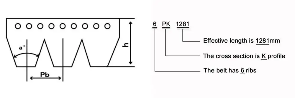 PK Ribbed V Belts